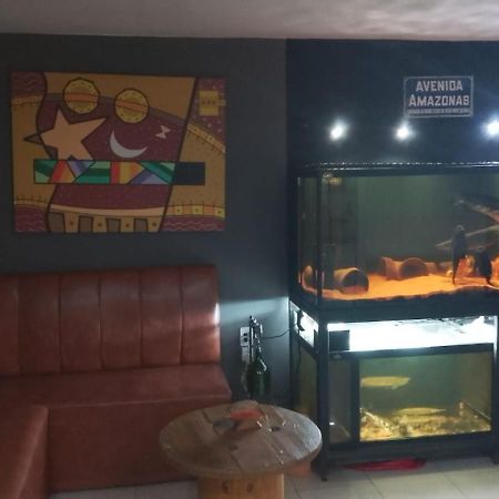 Hotel Gravatai Express Dış mekan fotoğraf